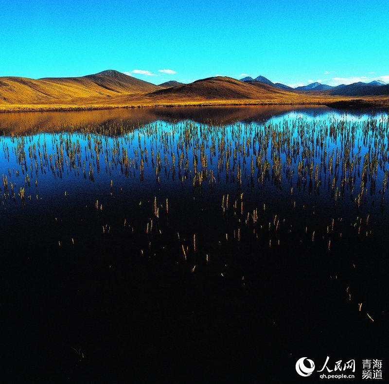 果洛江源湿地