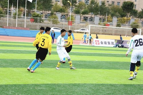 2016青海省第二届五人制足球四级联赛火热启