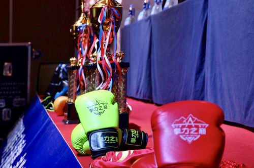 拳力之巅WKF环球拳王争霸赛青海站登陆夏都