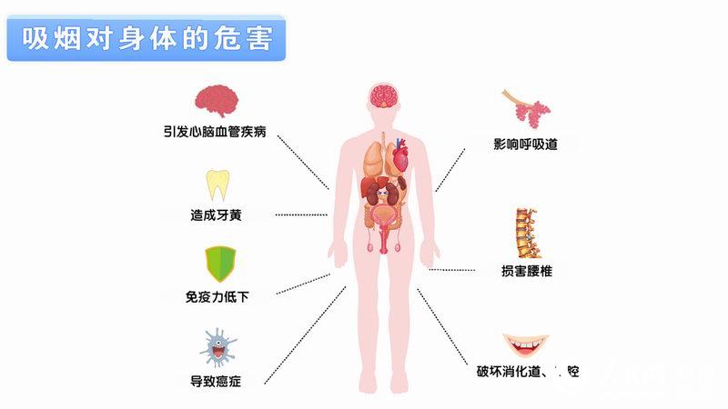 人口时钟_世界人口时钟怎么打开