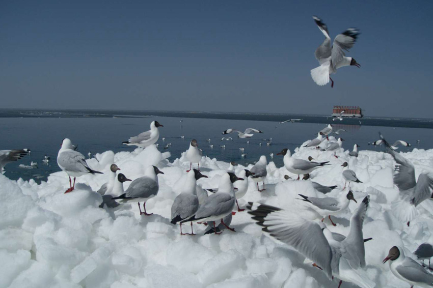 ���������