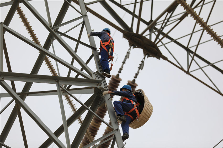 國網青海省電力公司工作人員按照人工鳥巢 王國棟攝 