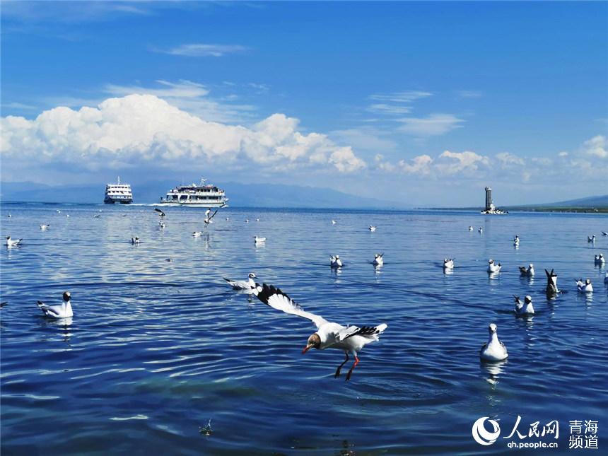 美麗的青海湖。人民網 楊啟紅攝