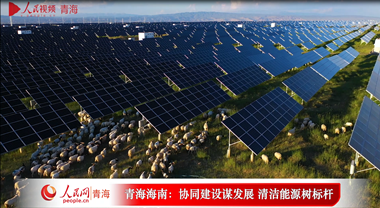 青海海南：协同建设谋发展 清洁能源树标杆