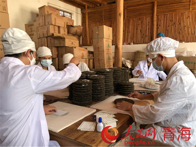 苦聰山寨茶業有限公司裡正在包裝茶餅的苦聰工人。人民網 劉沛然攝