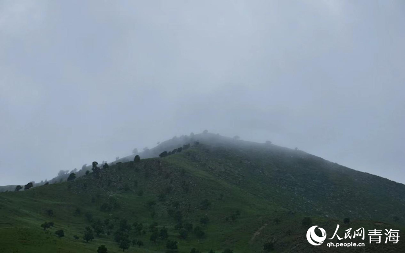 雨后的柏树山。人民网 况玉摄