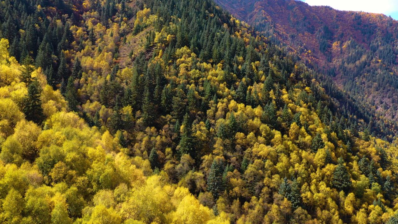 仙米国家森林公园的秋景。马文杰摄