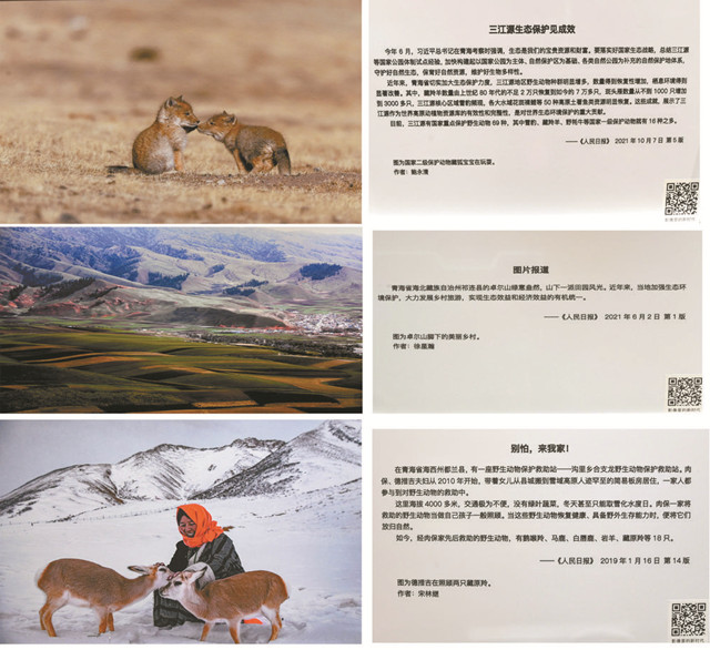 反映青海生态的三张图片和说明。