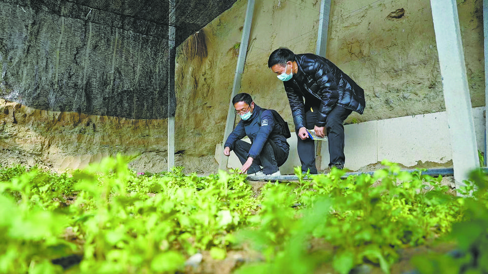 青海日报记者 张慧慧 通讯员 湟源组 摄