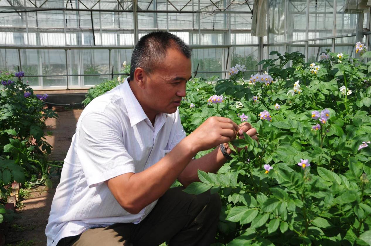 王舰委员：加大对青海饲草产业发展的支持力度