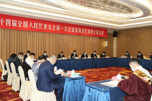 十四届全国人大一次会议期间，青海代表团认真审议。赵桂存摄 