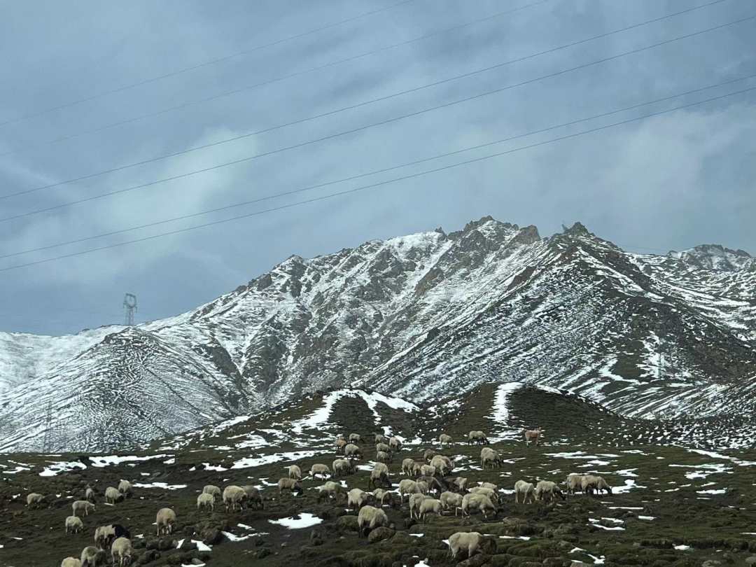 拉脊山南側，海南州貴德縣尕讓鄉加洛村村民在放牧。
