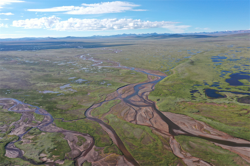 位于青藏高原腹地长江南源的当曲湿地。青海极地自然资源调查研究院供图