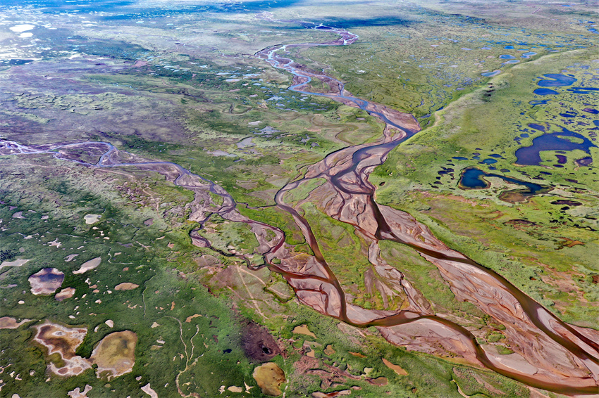 長江源區面積最大的當曲濕地。青海極地自然資源調查研究院供圖