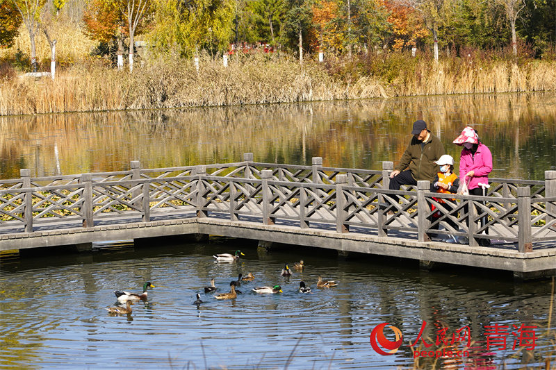 西宁市民在湟水湿地公园。人民网记者 甘海琼摄