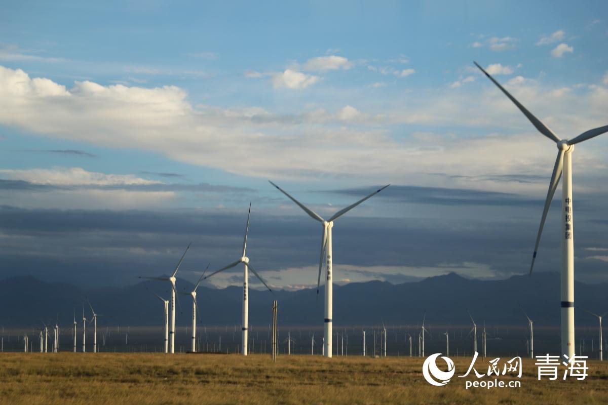 青海大地，風力發電機隨風旋轉，發出“綠電”。人民網記者 楊啟紅攝