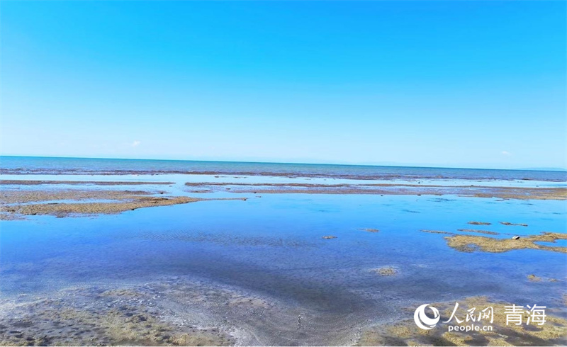 仙女湾湿地。人民网记者 张莉萍摄