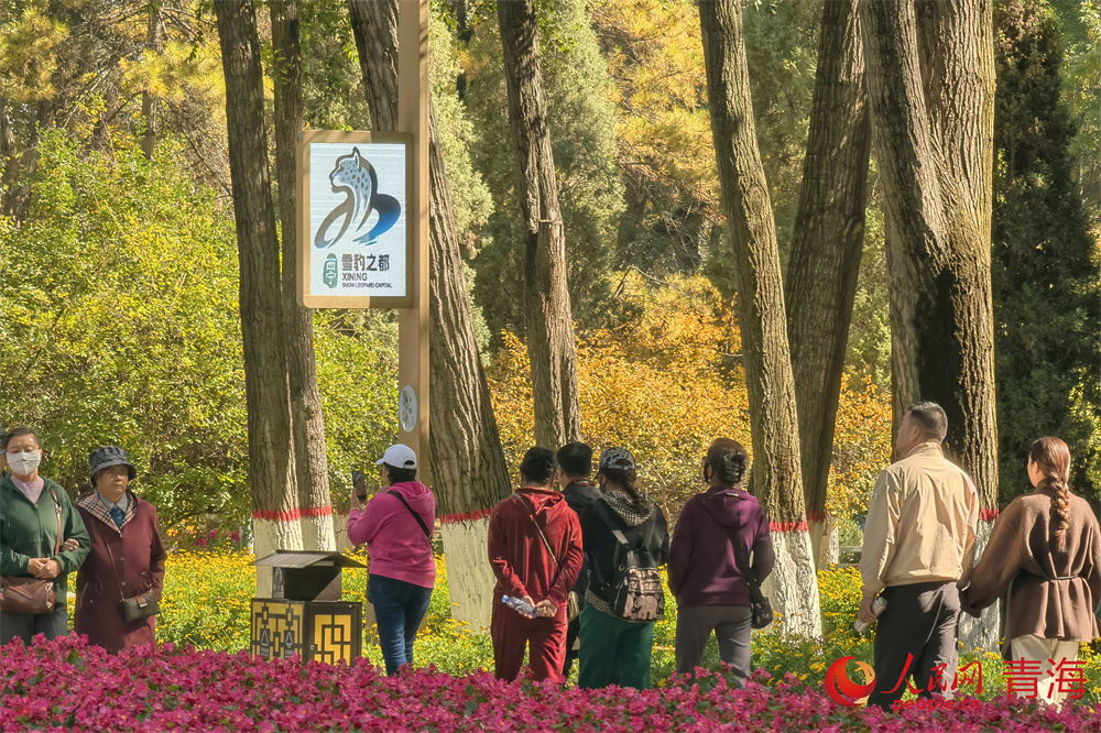 市民行走在公园如画秋景中。人民网 马可欣摄