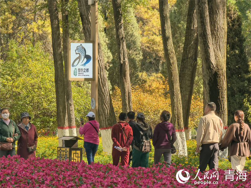 在“雪豹之都”西宁，市民欣赏秋景。人民网 马可欣摄