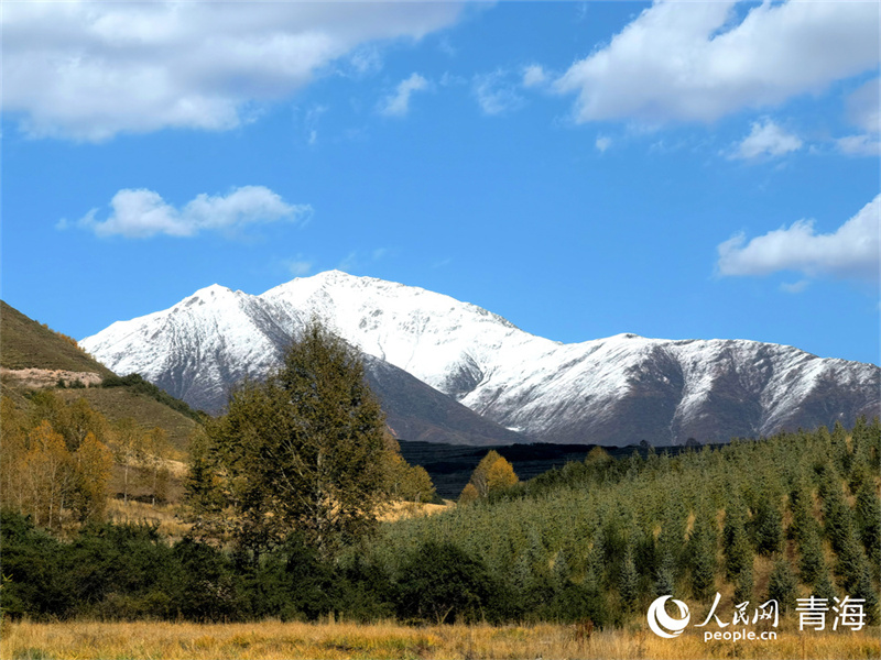 藍天白雲，雪山重疊，大通縣東峽鎮秋景美如畫。人民網 馬可欣攝