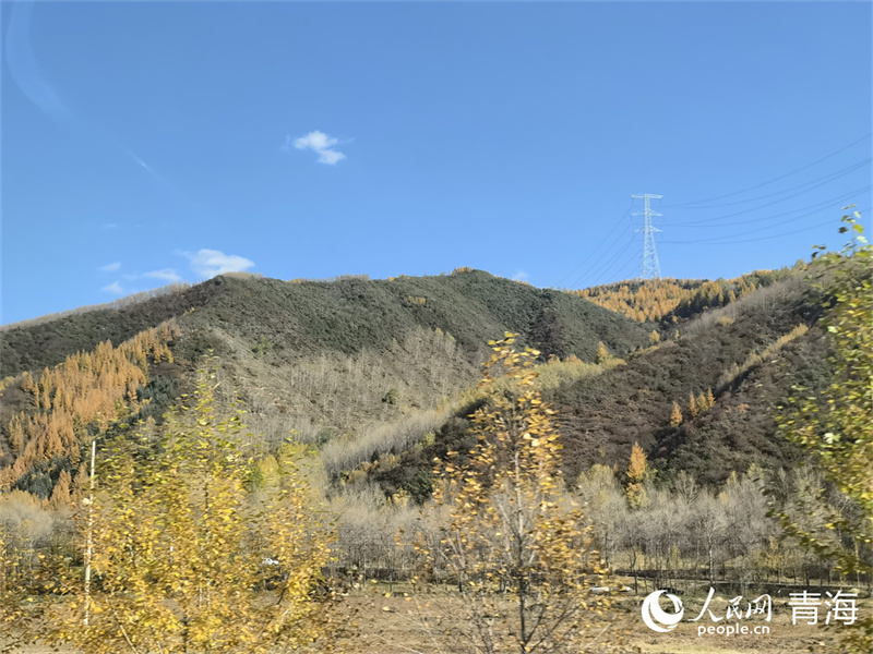 大通縣東峽鎮的絢爛秋景。人民網 馬可欣攝