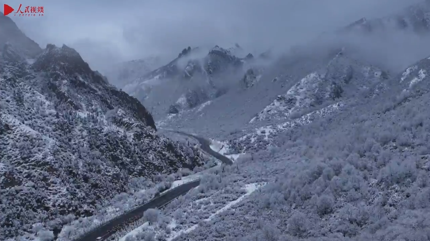 青海乐都：森林公园雪景美如画 