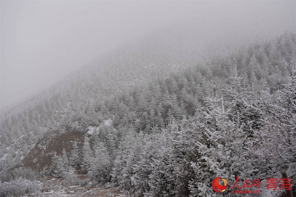 青沙山云雾缭绕，雪景如画。人民网 马可欣摄