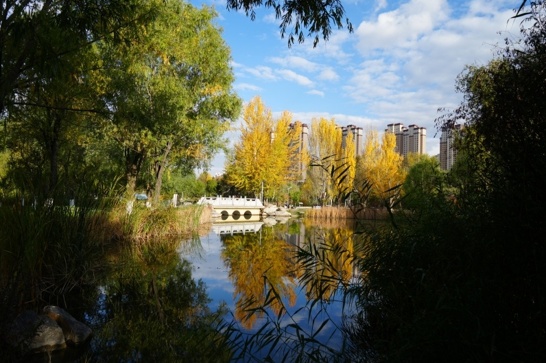 西宁湟水国家湿地