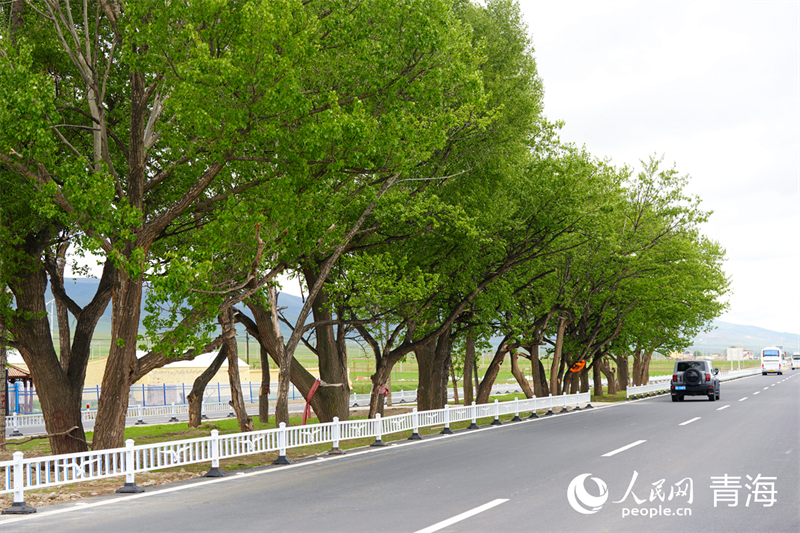 美嘉体育网址青海：生態旅游不止於風景(图4)