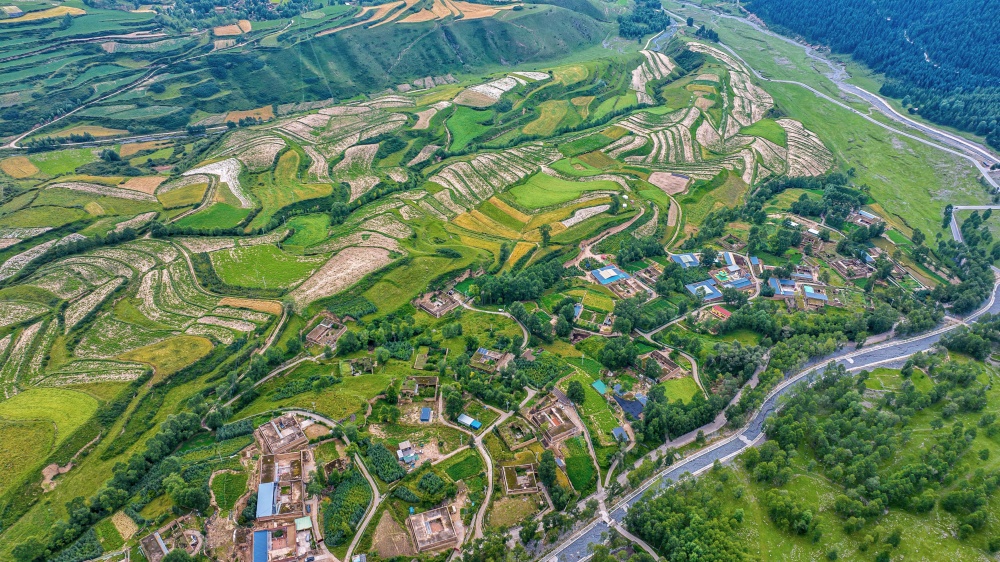 漫山树木褪去盛夏浓绿。宋忠勇摄