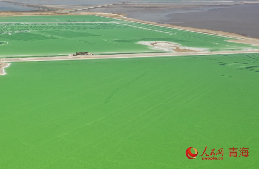 察尔汗盐湖。人民网记者 张力洋摄