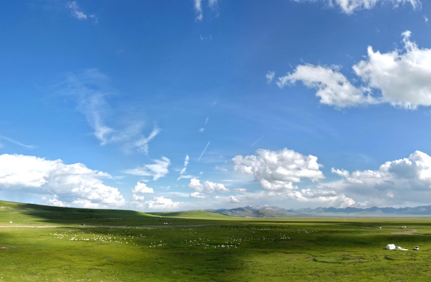 初秋的祁連山草原。安雪姣攝