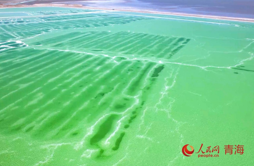 秋日的察爾汗鹽湖。人民網記者 甘海瓊攝