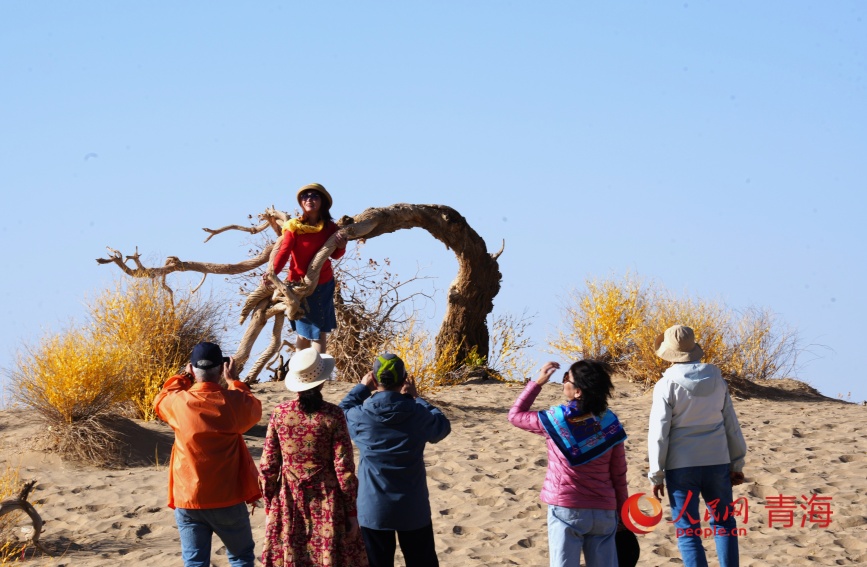 游客在胡杨林拍照。人民网记者 甘海琼摄