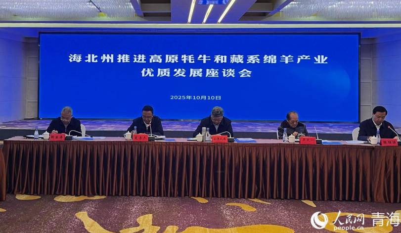 座谈会现场。实习生 马司宇摄