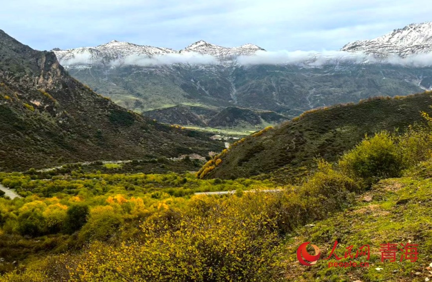 秋色浸染群加。人民網記者 甘海瓊攝