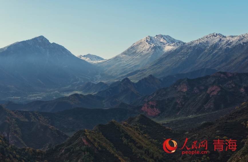 群加秋色。人民網記者 甘海瓊攝