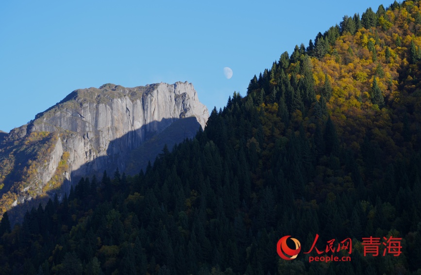群加秋色。人民網記者 甘海瓊攝