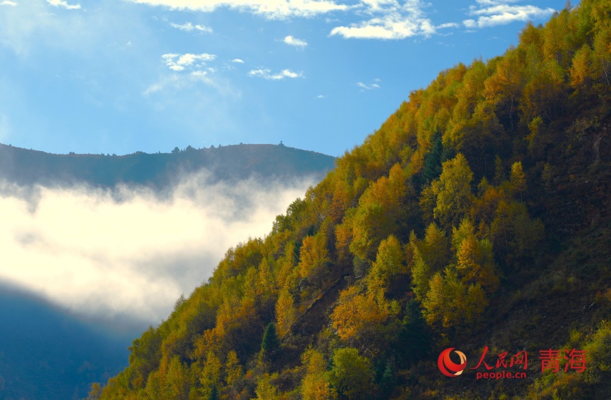班瑪秋色。人民網記者 甘海瓊攝