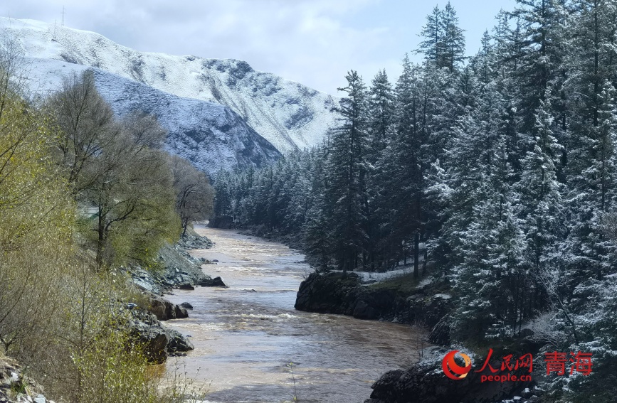 祁連山下秋光。人民網記者 甘海瓊攝