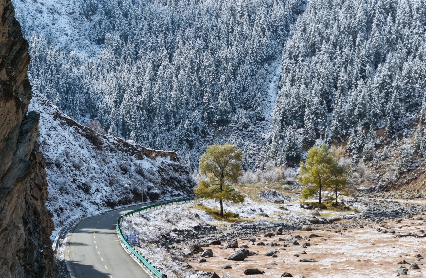 雪后的祁連山秋色。人民網記者 甘海瓊攝