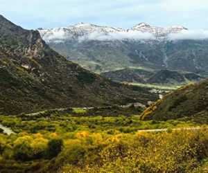 青海累計完成國土綠化2633.56萬畝/