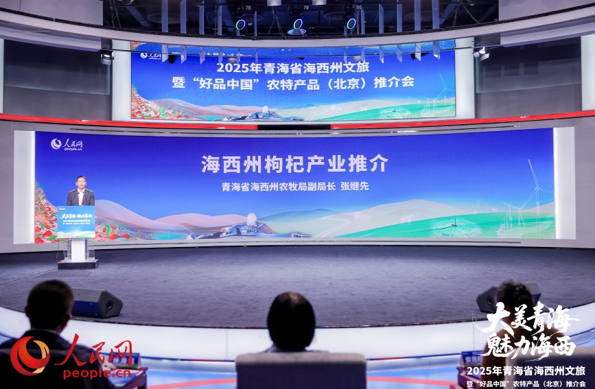 張繼先做推介。人民網記者 況玉攝