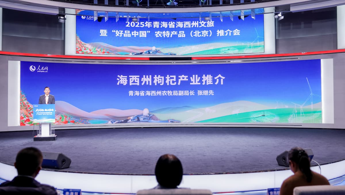 枸杞产业推介环节