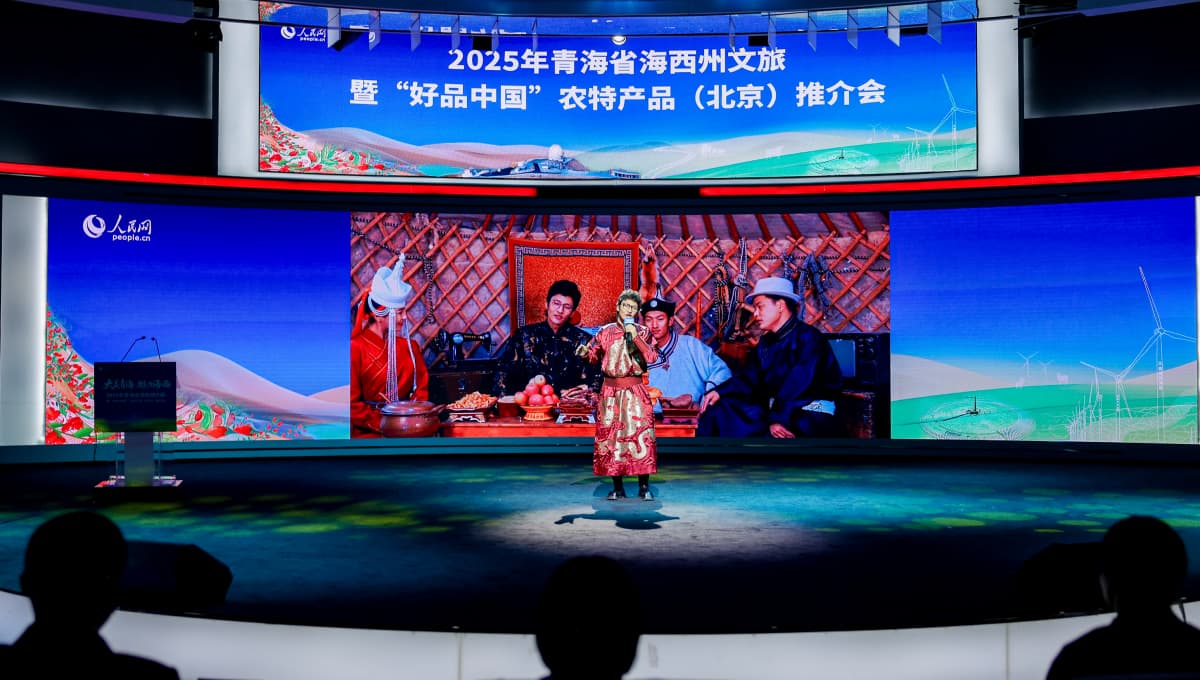 推介会现场的节目表演