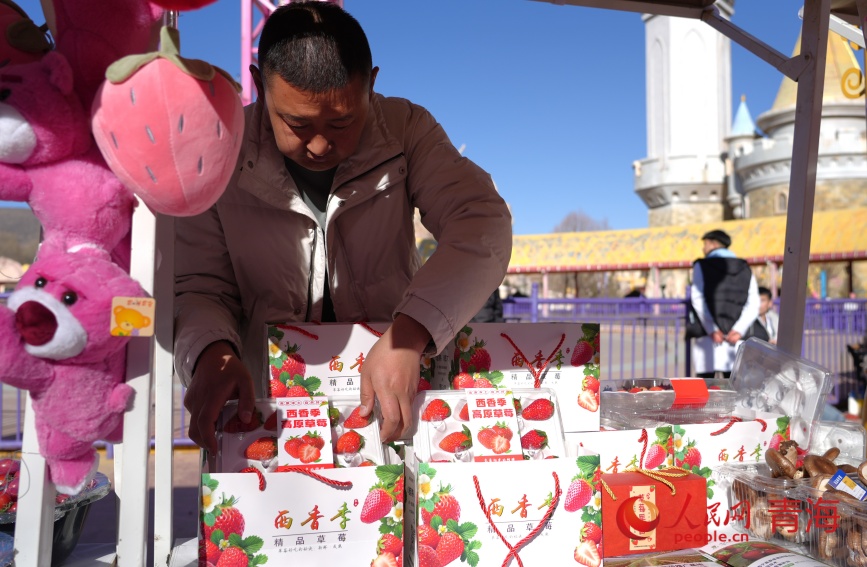 湟中草莓。人民网记者 甘海琼摄
