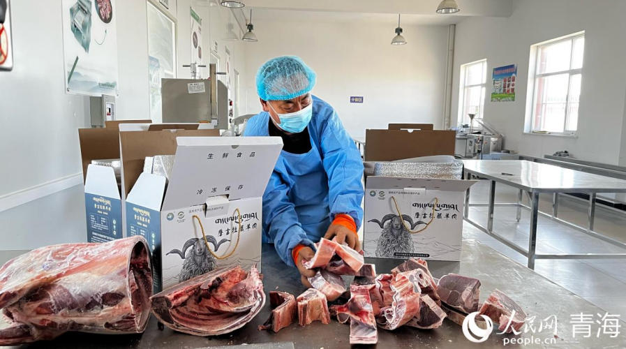村集体企业工作人员正在加工打包唐古拉藏羊肉。实习生 马司宇摄