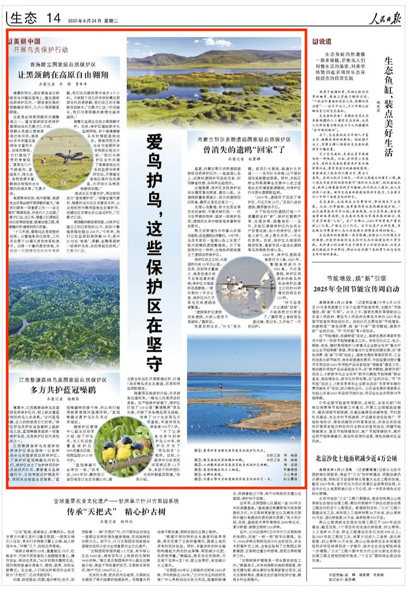 2025-06-24                            爱鸟护鸟，这些保护区在坚守                 清晨的阳光，洒在青海省玉树藏族自治州隆宝湿地上，隆宝国家级自然保护区内，一群身姿优雅的黑颈鹤踱步前行，几只小黑颈鹤紧紧跟随。                                                                          【详细】                            