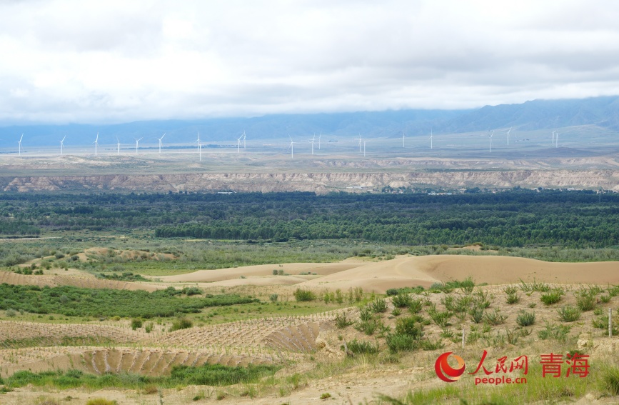 绿进沙退沙珠玉。人民网记者 甘海琼摄