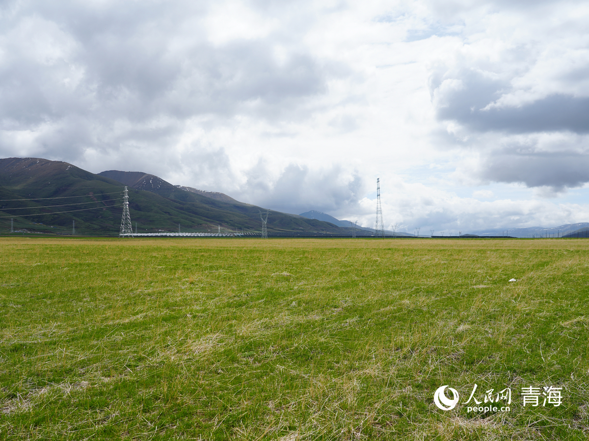 果洛州大武镇云宝村，阿尼玛卿山脉水源涵养与草原生态保护修复项目之人工种草项目现场。人民网记者 杨启红摄